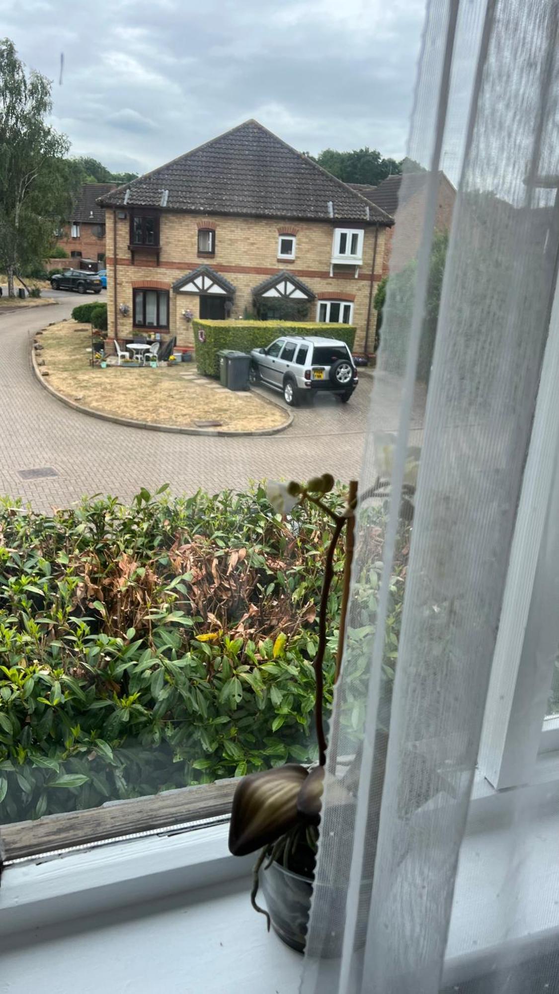 Beautiful Apartment In Guildford With Parking Send Екстер'єр фото